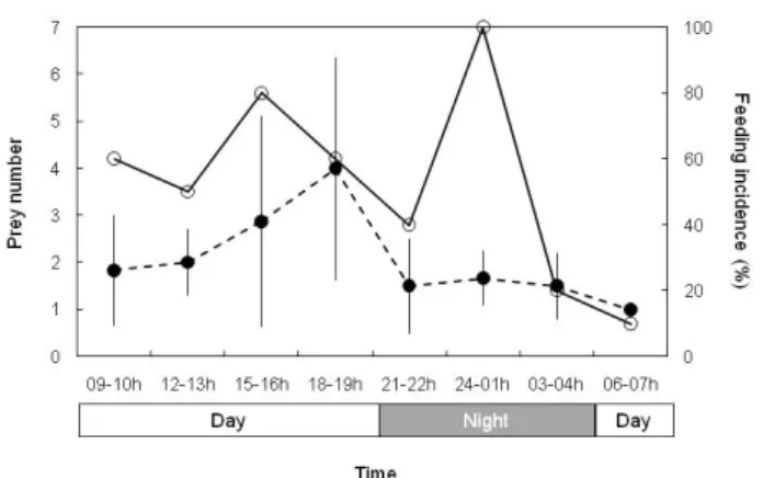 Fig. 7. Diel changes in the number of prey per larva (●) with stan- stan-dard deviation (vertical bar) and feeding incidence (○) of  Kono-sirus punctatus in the Nakdong River estuary.