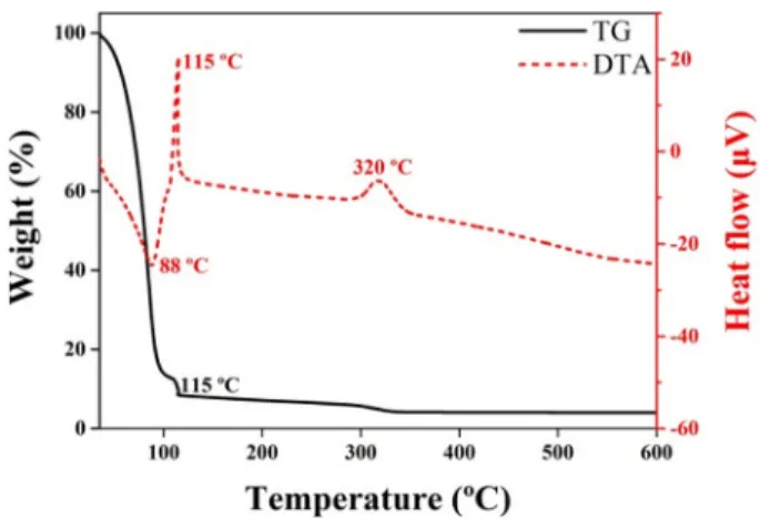 Fig. 1. TG/DTA curves of the IGZO precursor solution.