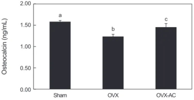 Fig. 3. Effect of AC supplementation on osteocalcin concentra- concentra-tion in the blood of experimental rats (n=8)