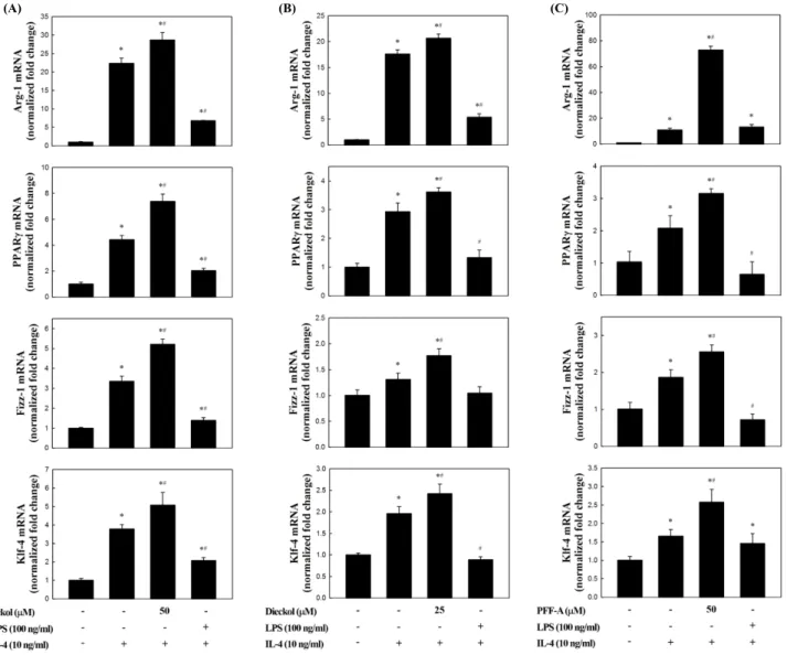 Fig. 3. Effect of eckol, dieckol or phlorofucofuroeckol-A (PFF-A) isolated from ethyl acetate fraction of Ecklonia stolonifera on M2 polar- polar-ization in IL-4-treated mouse peritoneal macrophages (PEM)