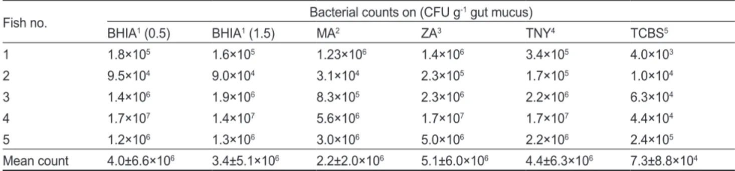 Table 2. Microbial colony counts of gut microbes grown on varying culture media 