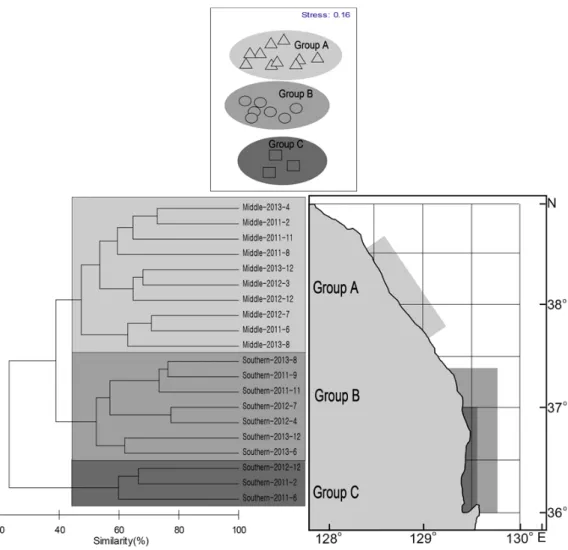 Fig. 8. Dendrogram based on cluster analysis of demersal fishes collected by Danish seine survey in the middle and southern East Sea