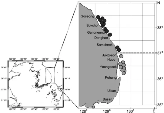 Fig. 1. Map showing the stations of Danish seine survey in the East Sea from 2011 to 2013