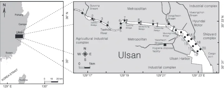 Fig. 1. The map showing the location of study area and the sampling sites for measuring the organic matter and trace metals in sediment  around Taehwa River estuary, Ulsan.