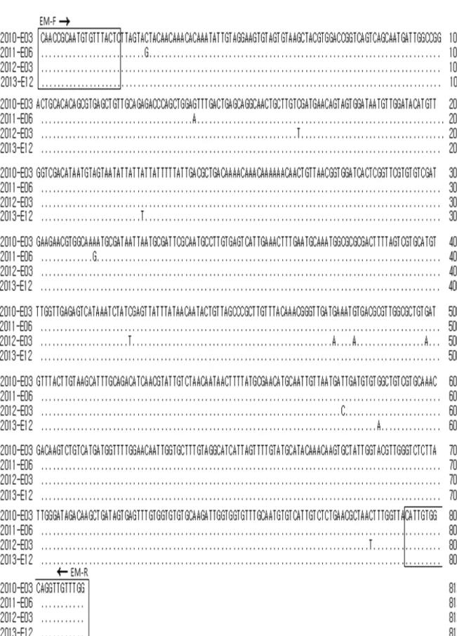 Fig. 4. Comparison analysis of the DNA nucleotide sequences of pathogens detected from the emaciated olive flounder Paralichthys oliva- oliva-ceus