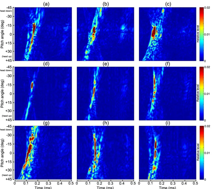 Fig. 10.  Echograms of compressed pulse signals as a function of pitch angle for nine fish species