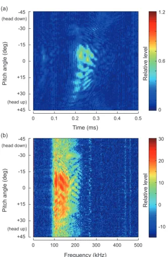 Fig. 4. Comparison between the scattering maps for broadband  acoustic echoes measured from a live black scraper Thamnaconus  modestus (a) and a model black scraper with an artificial  swim-bladder within the body (b)