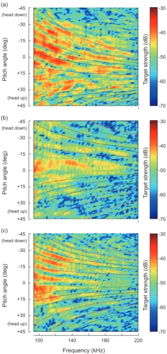 Fig. 5. Comparison between the matched filter outputs for broad- broad-band acoustic echoes measured from a live black scraper  Tham-naconus modestus (a) and a model black scraper with an artificial  swimbladder within the body (b).
