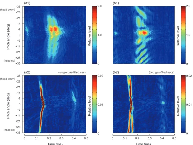 Fig. 8.  The time difference between the first and second echo ar- ar-rivals as a function of pitch angle for artificial double-chambered  swimbladder