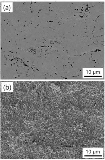 Fig. 6. Gas leakage rate of plasma-sprayed and heat-treated (La 0.8- 0.8-Ca 0.2 )(Cr 0.9 Co 0.1 )O 3  coatings.