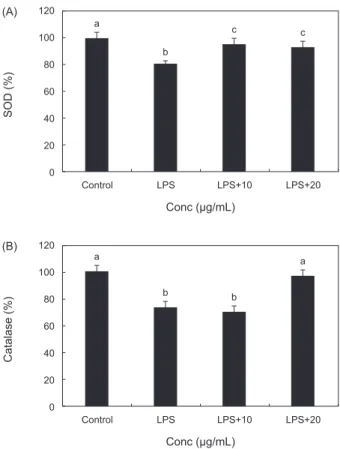 Fig. 3.  Effect of Pyropia yezoensis extract on antioxidant enzyme  activities in LPS stimulated RAW 264.7 cells