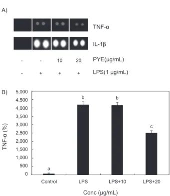 Fig. 7. Effect of Pyropia yezoensis  extract  on  NF-κB  signaling  pathway in LPS stimulated RAW 264.7 cells