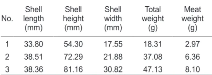 Fig. 1. Testis development of tetraploid Pacific oyster Crassostrea gigas,  used in this experiments.