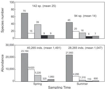 Fig. 2. Temporal variation of total species number and abundance  of macrobenthic animals in Wonmun Bay, on the southern coast  of Korea.200406010,0000 Spring Sampling TimeAbundanceSpecies number142 sp