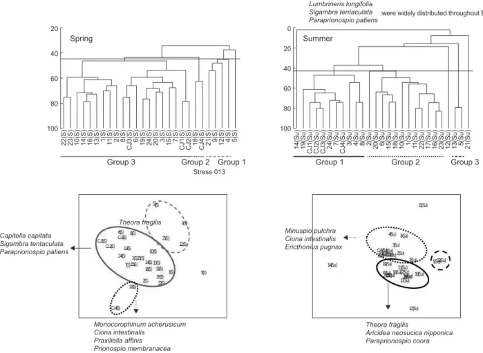 Fig. 6. Dendrogram for hierarchical clustering (upper) and 2-dimensional MDS configuration (lower) using group average linkage by Bray- Bray-Curtis similarities calculated on the log(X+1) transformed abundance data in Wonmun Bay, on the southern coast of K