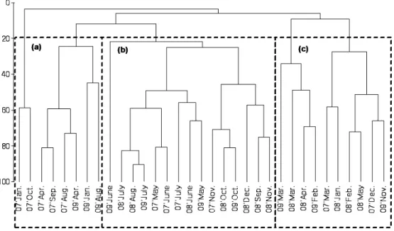 Fig. 10. Dendrogram based on cluster analysis of each month of fishes collected by set net fishery in coastal waters of Sirang-ri, Gijang-gun  from 2007 to 2009.