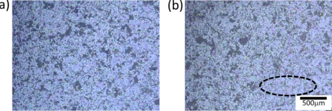 Fig. 2. SEM micrograph showing sectional view of the thermal barrier coating obtained by air plasma spraying