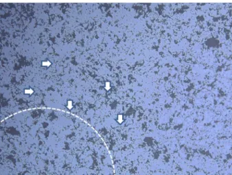 Fig. 7. Optical micrograph showing radial cracks (arrows are indicated) around indentation damages of the surface of the topcoat after 1200 thermal shock cycles