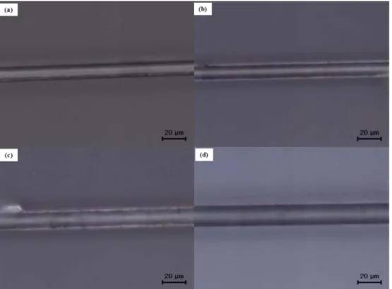 Fig. 7. FE-SEM photographs of continuous spinning fibers at 1225