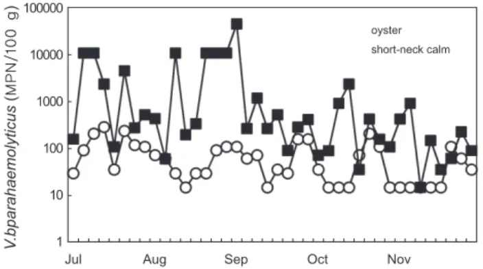 Fig. 2. Monthly variation of Vibrio parahaemolyticus concentra- concentra-tion in shellfish.