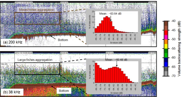 Fig. 2. An example on vertical echogram of fish aggregations at 38 and 200 kHz from transect 1 on October, 2012.