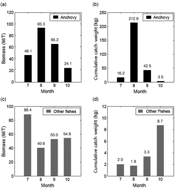 Fig. 7. Monthly variations of the standing stock estimation of Engraulis japonicus and other fishes calculated from acoustic data, and whole  amount of fish by a stow net in Asan bay, Korea from July to October, 2012