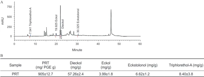 Fig. 1. Chromatograms of PRT (A), for phlorotannins analysis at 230 nm and quantification results of dieckol, eckol, eckstolonol, and  triphlorethol-A contents (B).