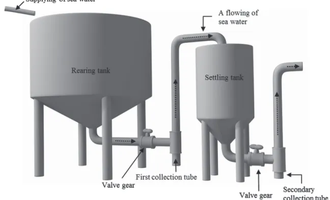 Table 4. Apparent digestibility of dry matter and protein of seven  different protein sources 1
