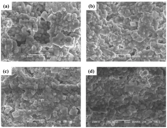 Fig. 2. Scanning electron microscopy images of the synthesized (a) NaY 0.60 (WO 4 ) 2 :Ho 0.04 /Yb 0.35 /Tm 0.01 , (b) NaY 0.55 (WO 4 ) 2 :Ho 0.03 /Yb 0.40 /Tm 0.02 , (c) NaY 0.50 (WO 4 ) 2 :Ho 0.02 /Yb 0.45 /Tm 0.03 , and (d) NaY 0.45 (WO 4 ) 2 :Ho 0.01 /