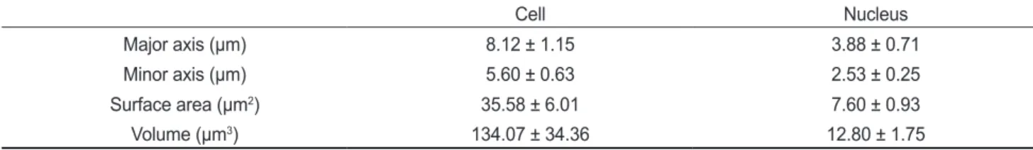 Table 1. Comparison of cell and nuclear sizes of Platichthys stellatus