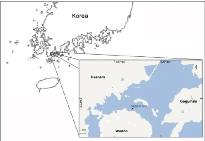 Fig. 1. Location of sample collection stations in Yeonghueng-ri,  Wando coast, between June 2011 and October 2012.