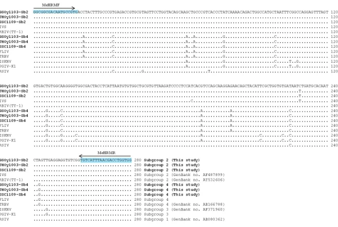 Fig. 3. Nucleotide sequence alignment of the MCP genes of Megalocytiviruses in shellfish