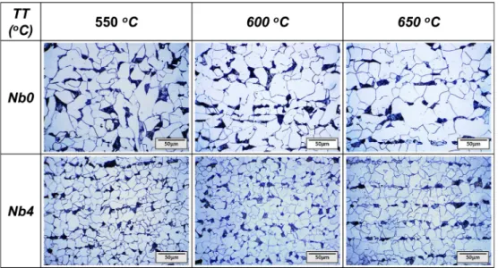 Fig. 1. Optical micrographs of the microstructures of the Nb0 and Nb4 specimens isothermally transformed at the transformation temperature (TT) of 550 o C, 600 o C, and 650 o C after austenitization heat treatment at 950 o C.