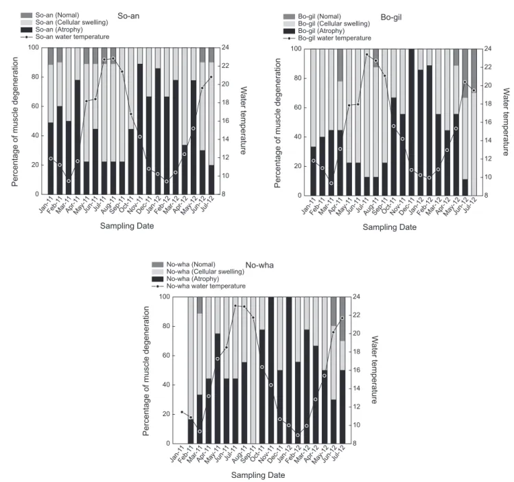 Fig.  3. Analysis of muscle degenerative trend of abalone Haliotis discus hannai and water temperature trend in So-an, Bo-gil and No-wha  in each month