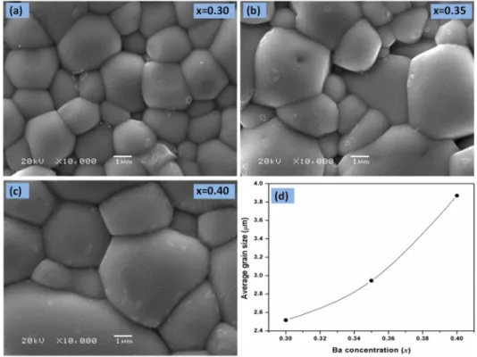 Fig. 2. Scanning electron micrographs of La 1-x Ba x MnO 3  samples sintered at 1300 o C