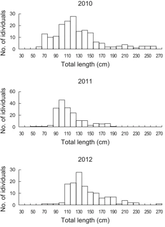 Fig. 3. Total length distribution of sunfish Mola mola  caught off  Korean waters from 2010 to 2012.