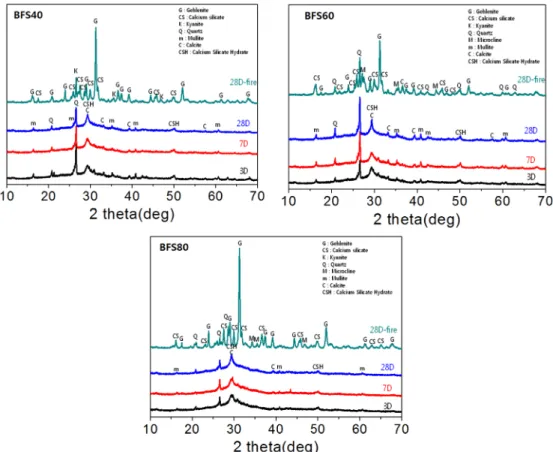 Fig. 5. XRD patterns of BFS40, BFS60 and BFS80 Geopolymer ceramics.
