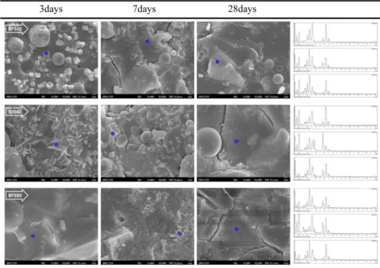 Fig. 6. FE-SEM micrographs and EDS point mapping of Geopolymeric ceramics with 3, 7, and 28days.