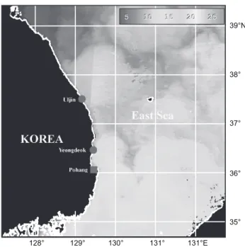 Fig. 2. Giant squid Architeuthis sp. stranded at Pohang, January  2010.