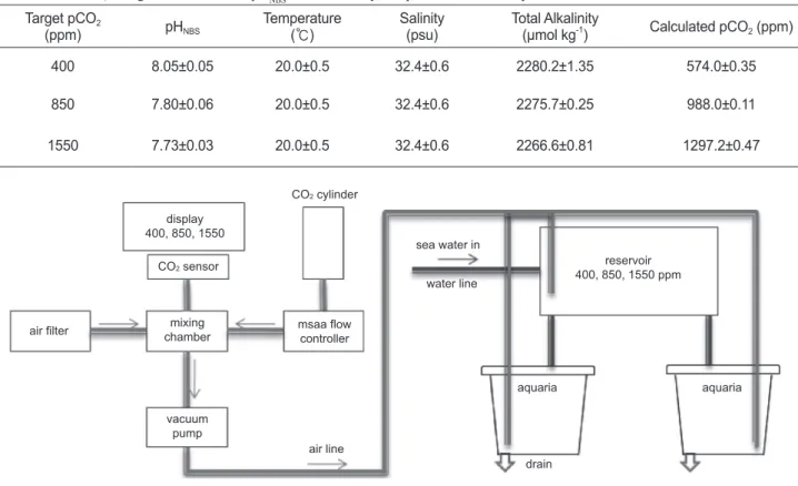 Fig. 1. A schematic diagram of experimental system for ocean acidification. Total 3 systems are used for 3-levels of CO 2  concentration dur- dur-ing this study