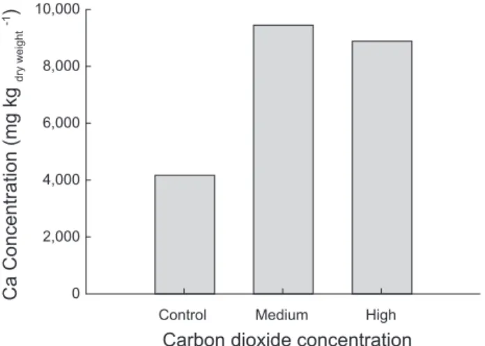 Fig. 3. Concentration of Ca in the whole body of black sea bream  Acanthopagrus schlegelii reared at each CO 2  level