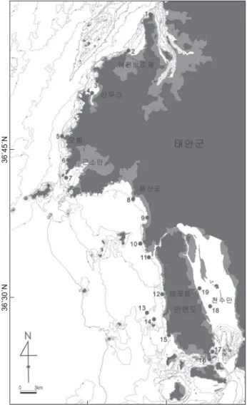 Fig. 1. A map showing the study area and the sampling sites. 