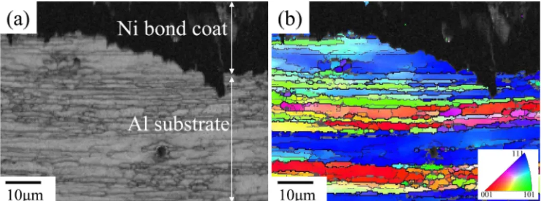 Fig. 7. EBSD images showing the microstructure of interface of Al substrate and Ni bond coat