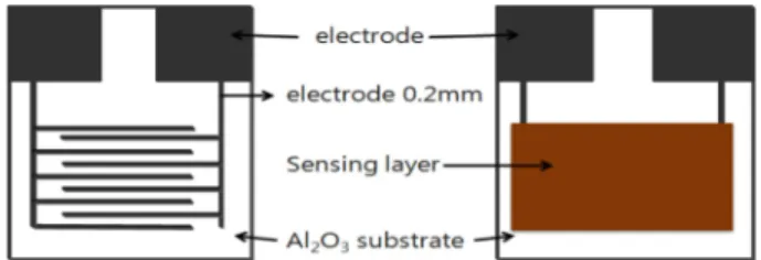 Fig. 1. Sensor structure and electrode pattern on alumina substrate.