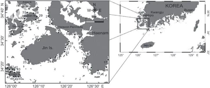 Fig. 1. A map showing the location of study area and the sampling sites for analyzing the trace metals in intertidal sediment from Mokpo- Mokpo-Haenam coast in October 2009.