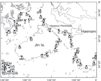 Fig. 3. The horizontal distribution of sedimentary type in intertidal  zone between Mokpo and Haenam (Abbreviations: Z - silt; sZ -  sandy silt, M - mud; gM - gravelly mud, (g)M - slightly gravelly  mud; sM - sandy mud; S - sand; mS - muddy sand; (g)mS - s