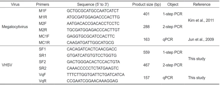 Table 1. Primers used in this study