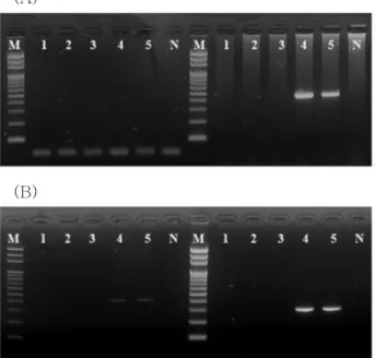 Fig. 2. Sensitivity test of HA method for detection of (A) VHSV  and (B) IVS-1 in seawater