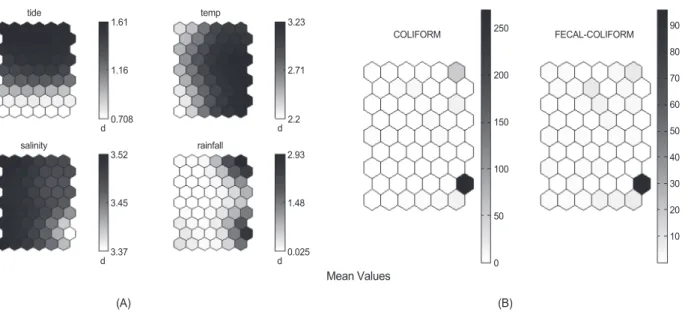 Fig. 4. Pattern of tide, temp, salinity, rainfall, coliform and fecal coliform at each station in Youngnam-Gwangdo area located in western of  Jinhae bay, Korea from 2007 to 2009