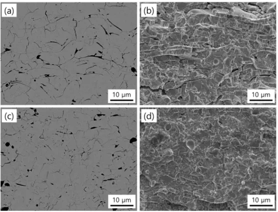 Fig. 4. Cross-section SEM (back-scattered) microstructure and fracture surface of Y 2 O 3  coatings: (a), (b) internal feeding and (c), (d) external feeding.